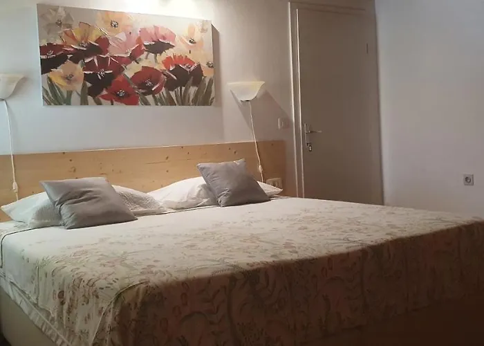 Guest house Aneli & 3*